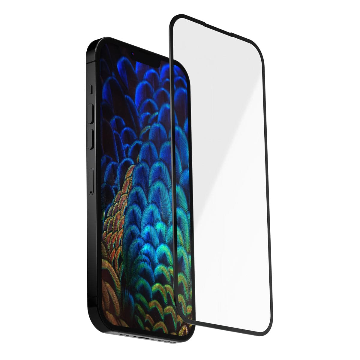 Premium 9H Tempered Glass iPhone Full Screen Protector - iiCase