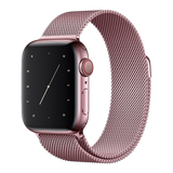 Milanese Loop - iiCase