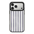 Silver Coast iPhone Case