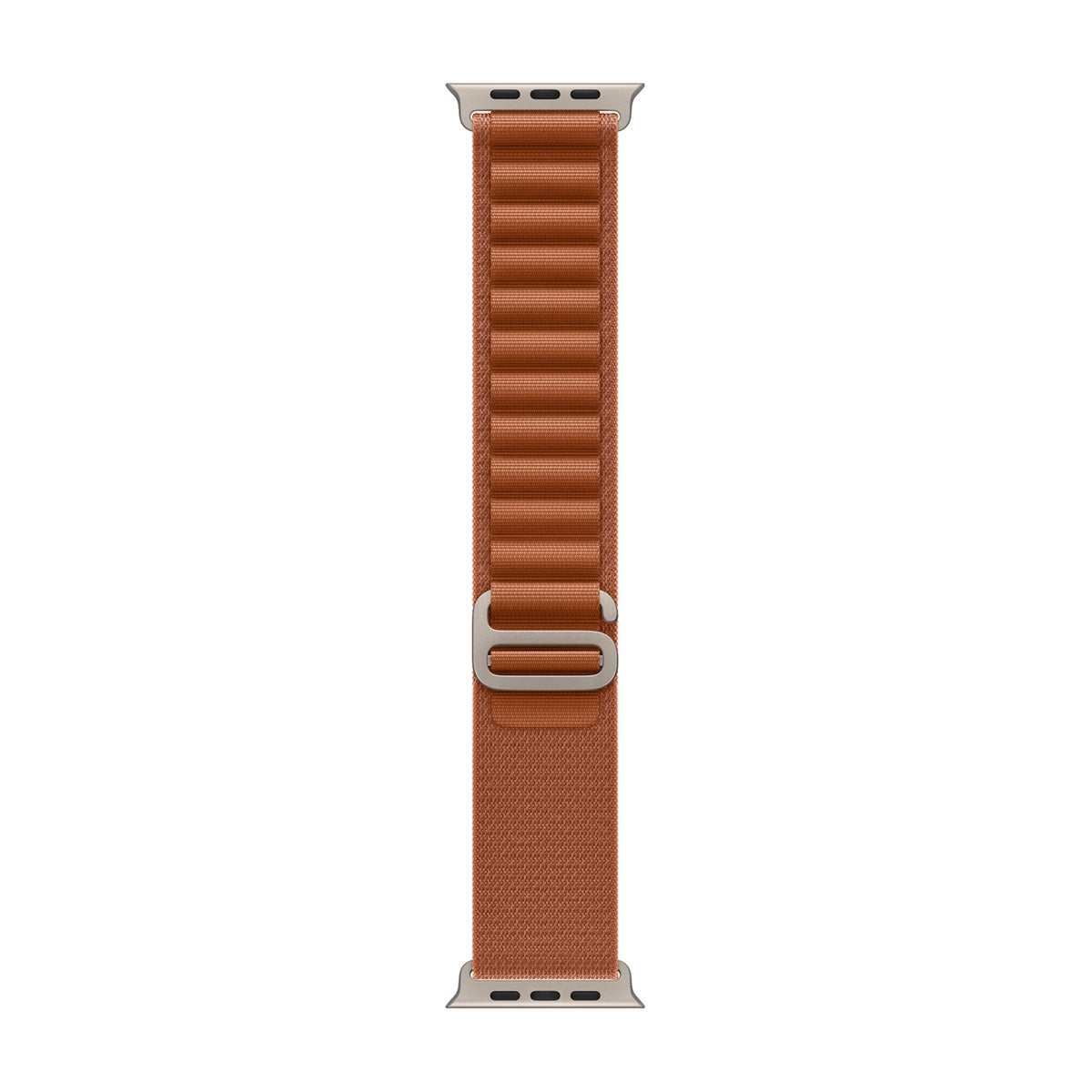 Alpine Loop Apple Watch Band
