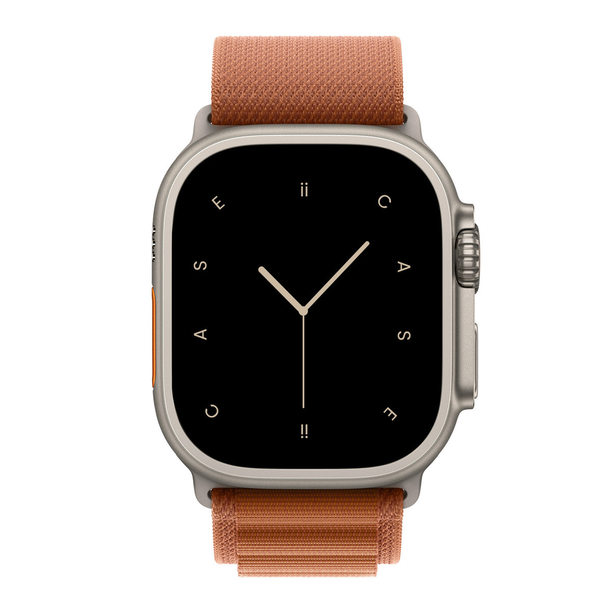 Alpine Loop Apple Watch Band