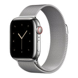 Milanese Loop